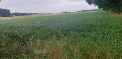 Na sprzedaż działka budowlana - Wola Pasikońska -
mazowieckie Zdjęcie nr 10