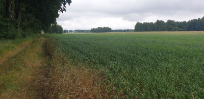 Na sprzedaż działka budowlana - Wola Pasikońska -
mazowieckie Zdjęcie nr 11