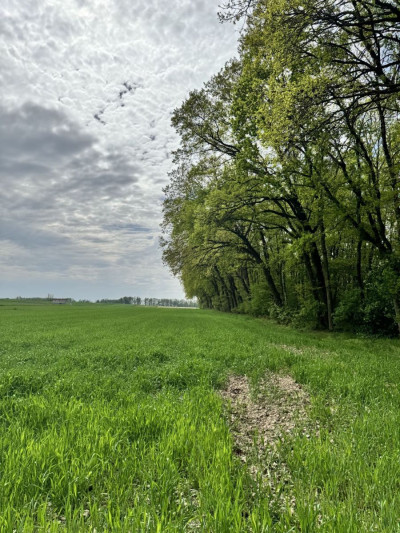 Na sprzedaż działka budowlana - Wola Pasikońska - mazowieckie