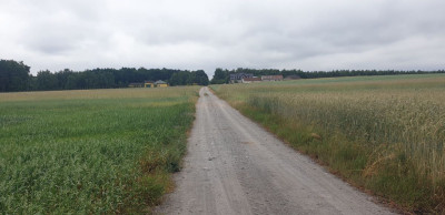 Na sprzedaż działka budowlana - Wola Pasikońska -
mazowieckie Zdjęcie nr 4