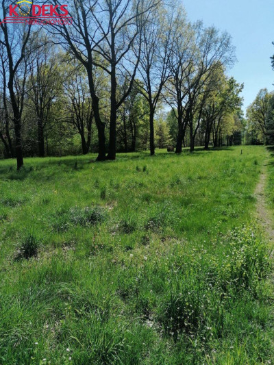 Na sprzedaż działka inwestycyjna - Jabłonna - mazowieckie