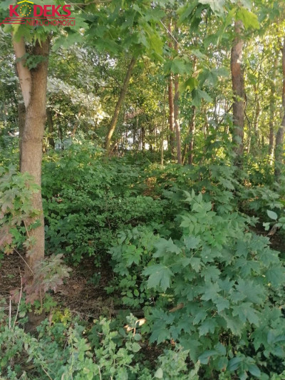 Na sprzedaż działka budowlana - Legionowo - mazowieckie