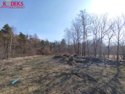 Na sprzedaż działka inwestycyjna - Skrzeszew -
mazowieckie Zdjęcie nr 2