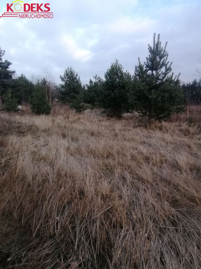 Na sprzedaż działka budowlana - Jachranka -
mazowieckie Zdjęcie nr 3
