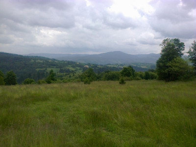 Na sprzedaż działka inwestycyjna - Nieledwia - śląskie