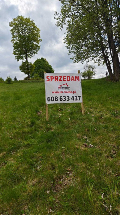 Na sprzedaż działka inwestycyjna - Nieledwia -
śląskie Zdjęcie nr 2