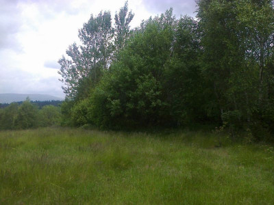 Na sprzedaż działka inwestycyjna - Nieledwia -
śląskie Zdjęcie nr 5