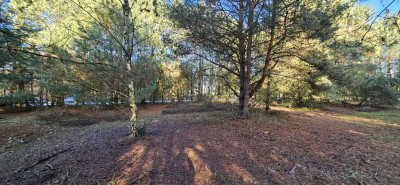 Na sprzedaż działka budowlana - Drogoszowice -
dolnośląskie Zdjęcie nr 2