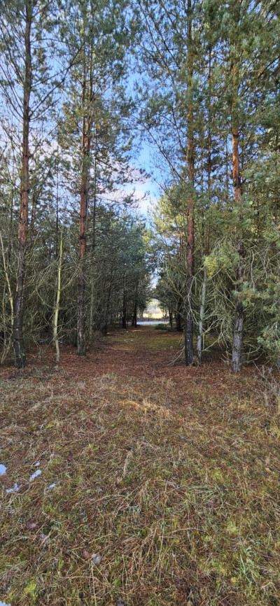 Na sprzedaż działka budowlana - Drogoszowice -
dolnośląskie Zdjęcie nr 3