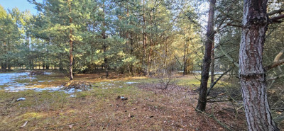 Na sprzedaż działka budowlana - Drogoszowice -
dolnośląskie Zdjęcie nr 4