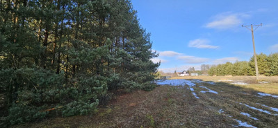 Na sprzedaż działka budowlana - Drogoszowice -
dolnośląskie Zdjęcie nr 7