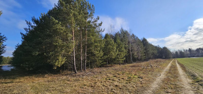 Na sprzedaż działka budowlana - Drogoszowice -
dolnośląskie Zdjęcie nr 2