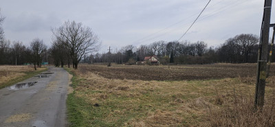 Na sprzedaż działka siedliskowa - Wrocław -
dolnośląskie Zdjęcie nr 3