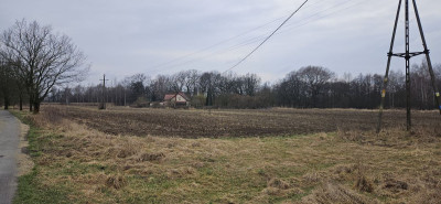 Na sprzedaż działka siedliskowa - Wrocław -
dolnośląskie Zdjęcie nr 3