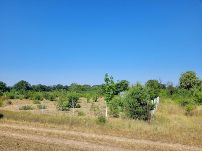 Na sprzedaż działka rekreacyjna - Głoska - dolnośląskie