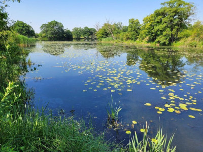 Na sprzedaż działka rekreacyjna - Głoska -
dolnośląskie Zdjęcie nr 2