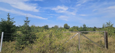 Na sprzedaż działka rekreacyjna - Głoska -
dolnośląskie Zdjęcie nr 4