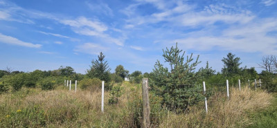 Na sprzedaż działka rekreacyjna - Głoska -
dolnośląskie Zdjęcie nr 5