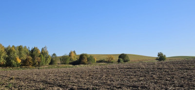 Na sprzedaż działka rolna - Kuraszków -
dolnośląskie Zdjęcie nr 2