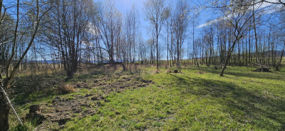 Na sprzedaż działka budowlana - Stary Wielisław -
dolnośląskie Zdjęcie nr 8