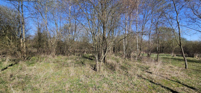 Na sprzedaż działka budowlana - Stary Wielisław -
dolnośląskie Zdjęcie nr 4