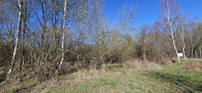 Na sprzedaż działka budowlana - Stary Wielisław -
dolnośląskie Zdjęcie nr 5