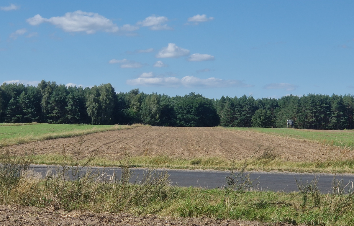 Działka 60 arów pod zabudowę przy lesie, Smólnik, gm. Krzymów, pow. Koniński, woj. Wielkopolskie -
Wielkopolskie Zdjęcie nr 1