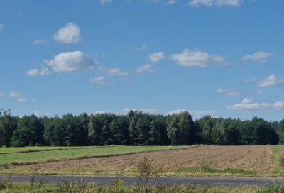 Działka 60 arów pod zabudowę przy lesie, Smólnik, gm. Krzymów, pow. Koniński, woj. Wielkopolskie -
Wielkopolskie Zdjęcie nr 3