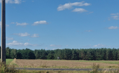 Działka 60 arów pod zabudowę przy lesie, Smólnik, gm. Krzymów, pow. Koniński, woj. Wielkopolskie -
Wielkopolskie Zdjęcie nr 2