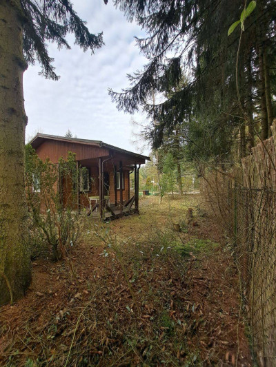 Na sprzedaż działka rekreacyjna - Kamińsko -
wielkopolskie Zdjęcie nr 3