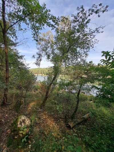 Na sprzedaż działka rekreacyjna - Kamińsko -
wielkopolskie Zdjęcie nr 5