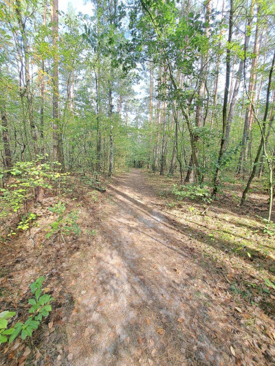 Na sprzedaż działka rekreacyjna - Kamińsko -
wielkopolskie Zdjęcie nr 6