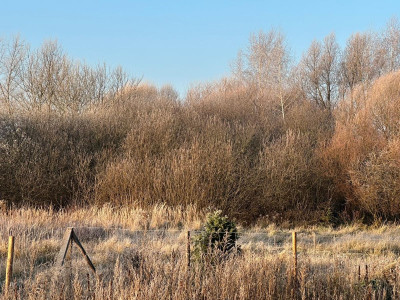 Na sprzedaż działka budowlana - Poznań -
wielkopolskie Zdjęcie nr 7