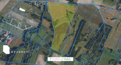 10ha działkamożliwość zakupu 20ha-Nekla - Nekla  - Wielkopolskie