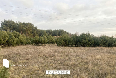 Działka budowlana w otulinie parku krajobrazowego - Silna Nowa  -
Wielkopolskie Zdjęcie nr 7