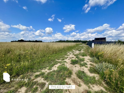 Działki z dostępem Jeziora Kuchennego Wydane WZ - Chrzypsko Wielkie  -
Wielkopolskie Zdjęcie nr 6