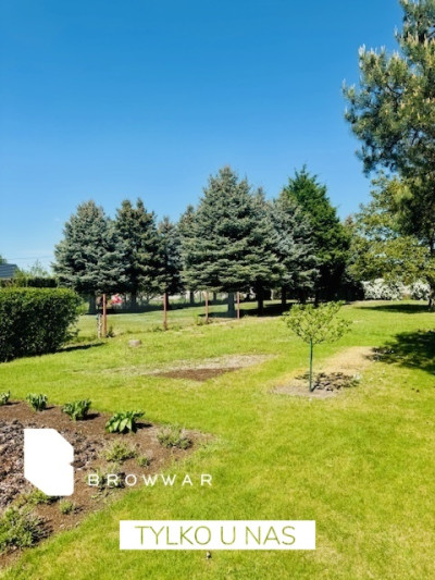 Działka z pięknym ogrodem -Tarnowo Podgórne - Tarnowo Podgórne  -
Wielkopolskie Zdjęcie nr 2