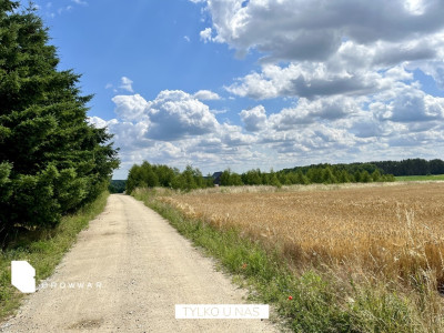 Działka nad jeziorem warunki zabudowy - Chrzypsko Wielkie  -
Wielkopolskie Zdjęcie nr 3