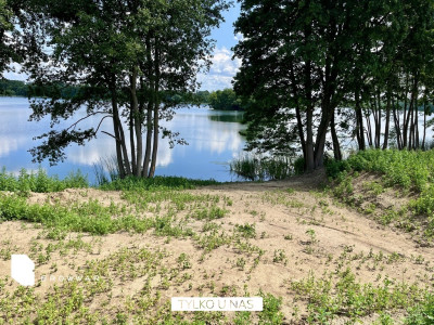 Działka nad jeziorem warunki zabudowy - Chrzypsko Wielkie  -
Wielkopolskie Zdjęcie nr 4
