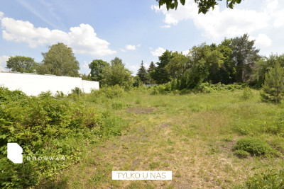 Działka dla inwestoraosoby prywatnej-Smochowice - Poznań  - Wielkopolskie