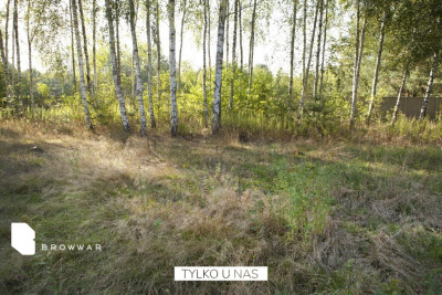 Helenów - dwie działki aglomeracja warszawska - Helenów  -
Mazowieckie Zdjęcie nr 7