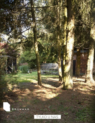 Helenów - dwie działki aglomeracja warszawska - Helenów  -
Mazowieckie Zdjęcie nr 8