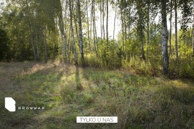 Helenów - dwie działki aglomeracja warszawska - Helenów  -
Mazowieckie Zdjęcie nr 9