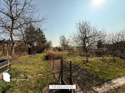 Ogród - zadbana działka przy stawie - Owińska   -
Wielkopolskie Zdjęcie nr 3