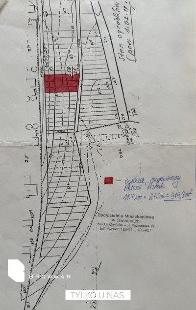 Ogród - zadbana działka przy stawie - Owińska   -
Wielkopolskie Zdjęcie nr 6