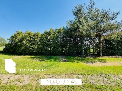 Działka z pięknym ogrodem -Tarnowo Podgórne - Tarnowo Podgórne  -
Wielkopolskie Zdjęcie nr 10