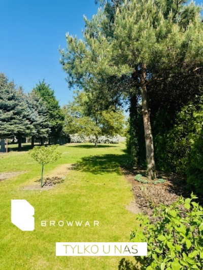 Działka z pięknym ogrodem -Tarnowo Podgórne - Tarnowo Podgórne  -
Wielkopolskie Zdjęcie nr 14