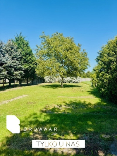 Działka z pięknym ogrodem -Tarnowo Podgórne - Tarnowo Podgórne  - Wielkopolskie
