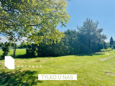 Działka z pięknym ogrodem -Tarnowo Podgórne - Tarnowo Podgórne  -
Wielkopolskie Zdjęcie nr 5