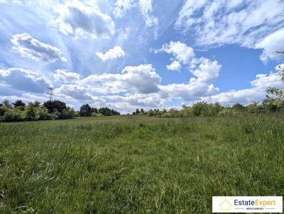 działka rolno budowlana tuż przy nowo powstającym osiedlu w Niestachowie - Radlin  -
świętokrzyskie Zdjęcie nr 4